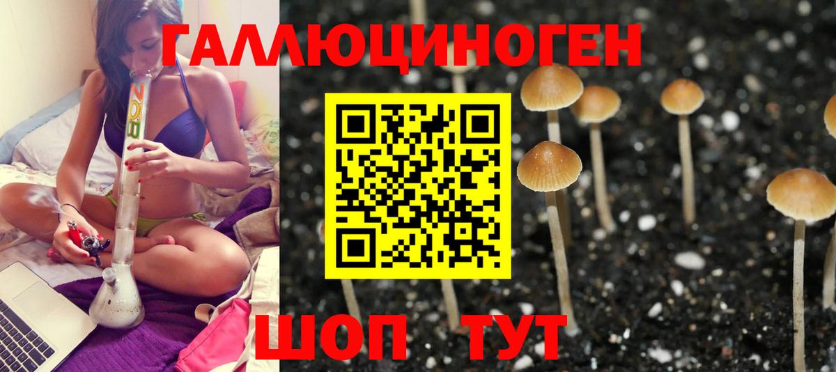 Галлюциногенные грибы Cubensis Спасск-Дальний