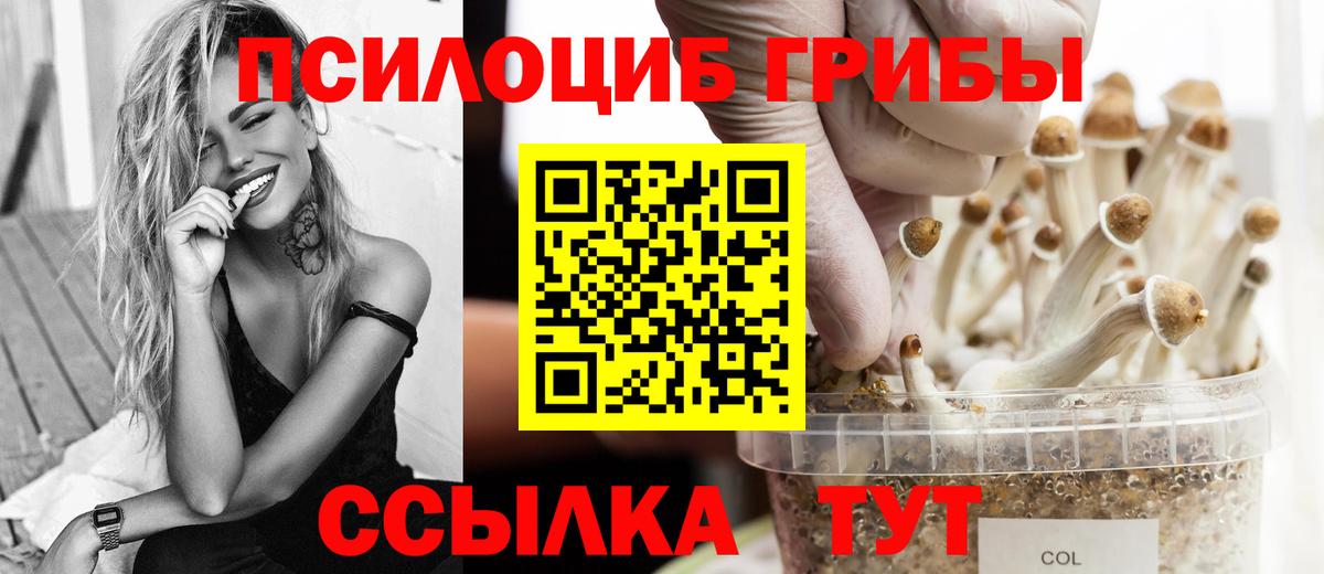 Галлюциногенные грибы Magic Shrooms  Псилоцибиновые грибы Magic Shrooms  Вход с VPN  купить наркотик  Спасск-Дальний 